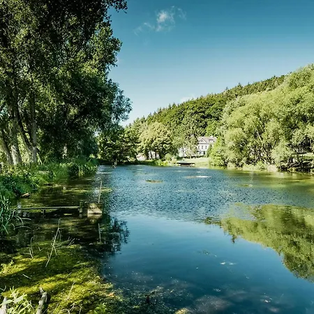 Immerse Yourself Into The Magic Of And Discover Your Creative Side