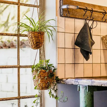 Immerse Yourself Into The Magic Of And Discover Your Creative Side