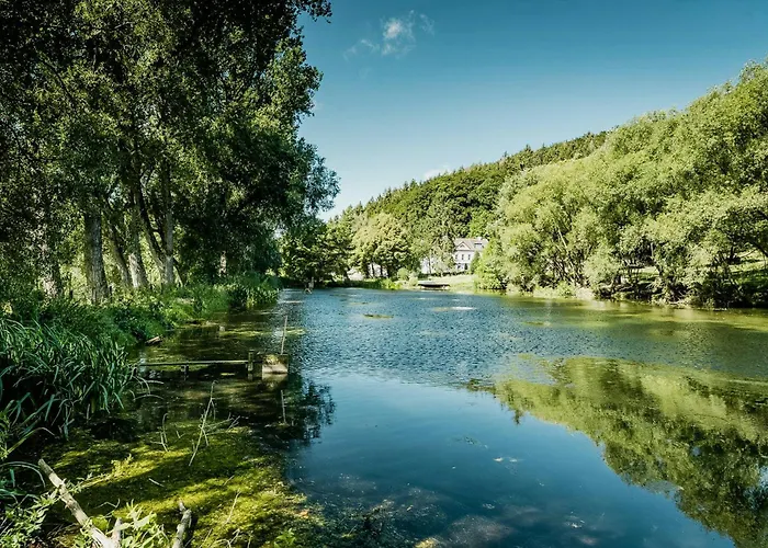 Immerse Yourself Into The Magic Of And Discover Your Creative Side