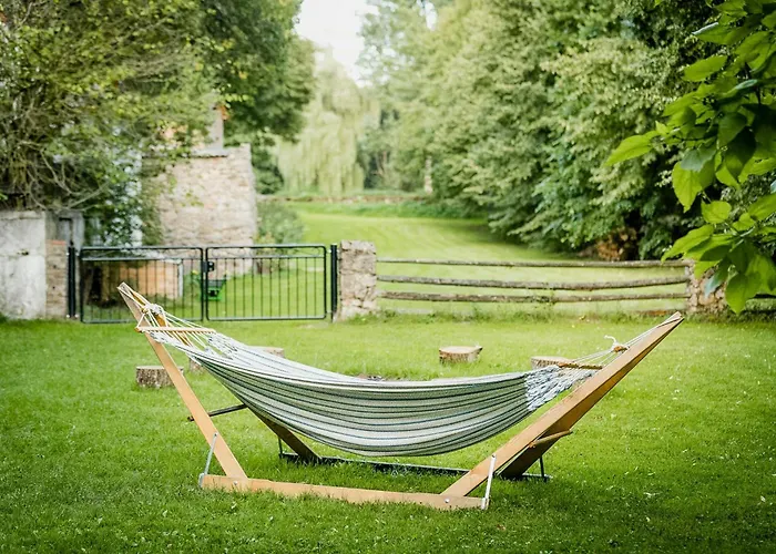 Immerse Yourself Into The Magic Of And Discover Your Creative Side Kall