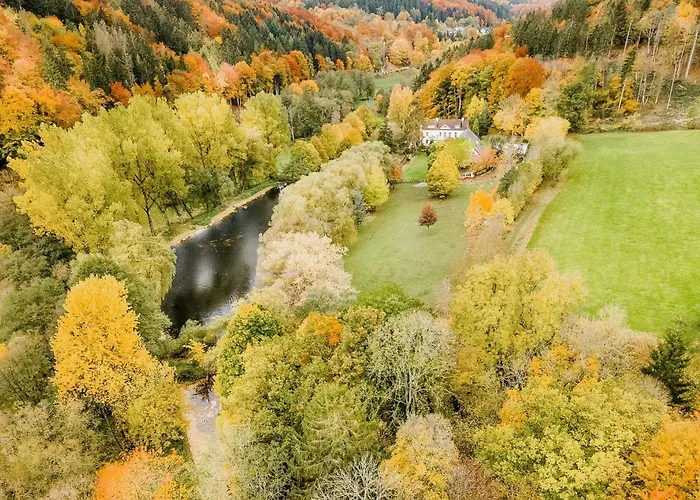 Immerse Yourself Into The Magic Of And Discover Your Creative Side